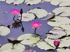 -芒洲湿地公园