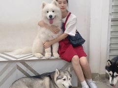-星多哈·狗咖·拼豆·咖啡