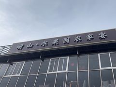 -崂山水果园农家宴(泉水鸡店)