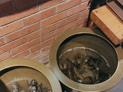 -鸽子窝(宋庄店)
