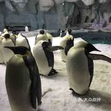 珠海长隆海洋王国
