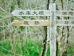 -北京西山国家森林公园