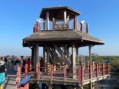 -北海金海湾红树林生态旅游区