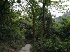 -火炉山森林公园