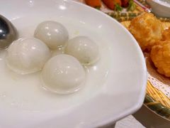 -丁老爷子苏香圆
