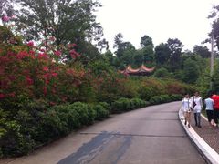 白云山风景区-白云山风景名胜区