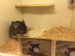 -龙猫仔乐园(惠福东路店)