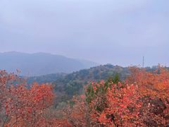 -香山公园