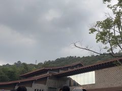 -都江堰中华大熊猫苑