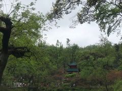 -岳麓山风景名胜区