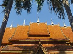 -西双版纳傣族园