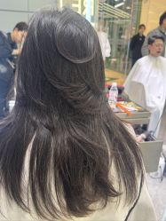 -京世沙龙