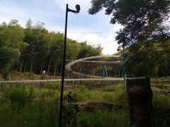 -宁波浙东大竹海景区