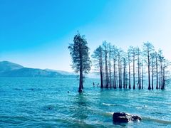 -大理洱海