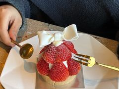 -Bco豆库(星耀天地店)