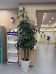 -上海伊莱美医疗美容医院