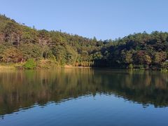 -广州白江湖森林公园