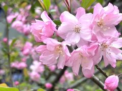 -徐家汇源景区-衡山公园