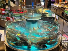 -魏铭鱼头捞饭(晋阳路店)