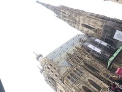 -斯蒂芬主教座堂(Stephansdom)