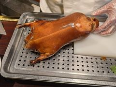 -范家小馆·烤鸭新京菜(金融街店)