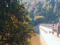 -九龙潭景区