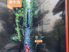 -梭布垭石林景区