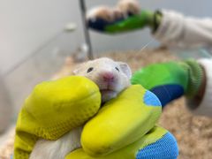 -怪兽屋·羊驼·猫咖·狗咖(俊华广场店)