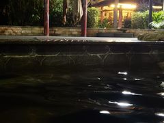 -罗浮山嘉宝田森林温泉度假酒店