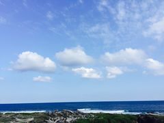 -龙坑生态保护区