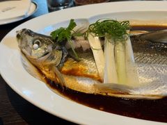 -宁波柏悦酒店·钱湖渔港