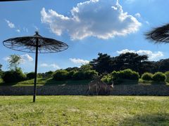 -沈阳森林动物园