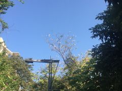 -广西大学(大学东路校区)