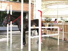 -金庭庄园酒店-停车场