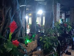 -泉城欧乐堡戏水湾艺术养生温泉