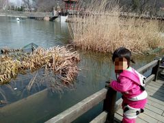 -南山健身公园