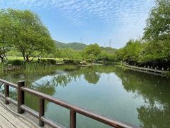 -八卦田遗址公园