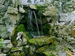 -上海醉白池公园