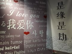 -成都失恋馆