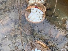 -天芳悦潭度假村温泉