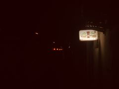 -The Tiki Bungalow提基小木屋酒吧