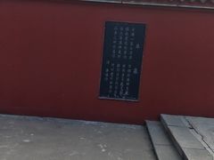 -百脉泉景区