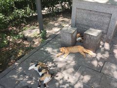 -敬亭山风景名胜区