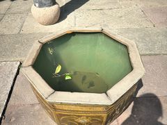 -王阳明故居
