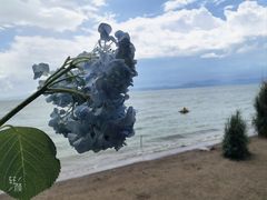 -西双版纳原始森林公园