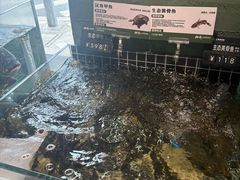 -湘轩·土菜研究院(光大店)