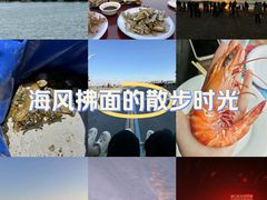 -日照海滨国家森林公园