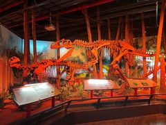 -正佳自然科学博物馆