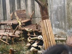 -熊猫邮局(少城店)