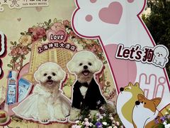 -上海神旺大酒店